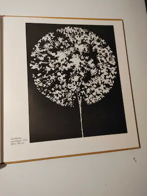 Pieter Wiegersma - Gouaches - Tekeningen - Wandtapijten 1980-1981 kopen? Bied vanaf 1!