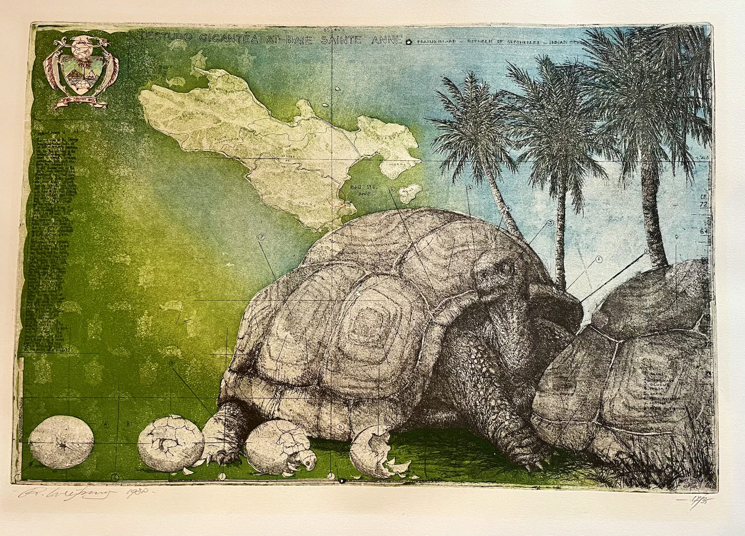 Rolf Weijburg - Testudo Gigantea at-baie Sainte Anne verkocht voor € 75!