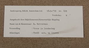 Peter Botterman - Vrouw in Landschap - 1979 - olieverf op doek - BKR Amsterdam kopen? Bied vanaf 20!