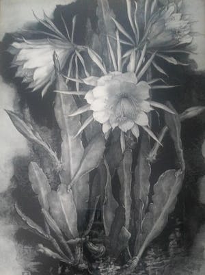 Niet of onleesbaar gesigneerd - Monogram GOV handgesigneerd werk van bloemen 1928 kopen? Bied vanaf 10!