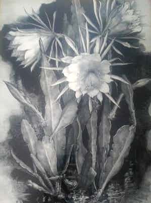 Niet of onleesbaar gesigneerd - Monogram GOV handgesigneerd werk van bloemen 1928 verkocht voor € 10!