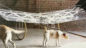 Panamarenko - Raven's Variable Matrix kopen? Bied vanaf 225!