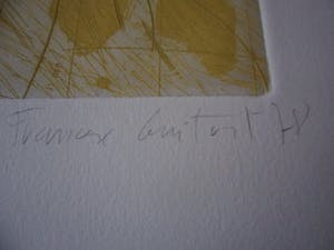 Frank Guitart - Ets, zonder titel. kopen? Bied vanaf 15!