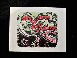 Gabriëlle Huig - Vroege (1964) Figuratieve "Rietveld Academie" Litho "Vuurvlieg" gesigneerd kopen? Bied vanaf 1!