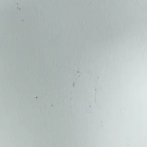 Jan Peter van Opheusden - Twee zeefdrukken (Groot) kopen? Bied vanaf 50!