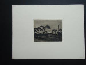 Lodewijk Schelfhout - LES SAPINS /// DROGE NAALD VAN LODEWIJK SCHELFHOUT kopen? Bied vanaf 40!