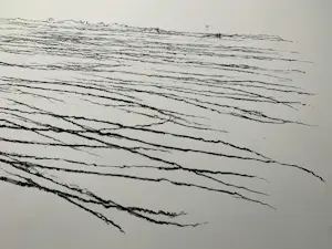 Willem den Ouden - litho De Waal 1991 nummer V/X kopen? Bied vanaf 79!