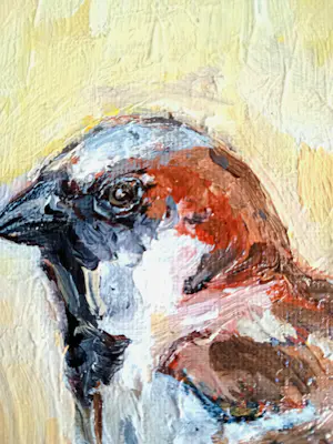 Tanja Koelemij - Musje 2 kopen? Bied vanaf 60!