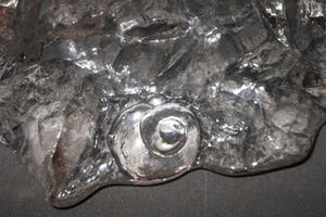 Jolanda Prinsen - schaal Coquille kopen? Bied vanaf 25!