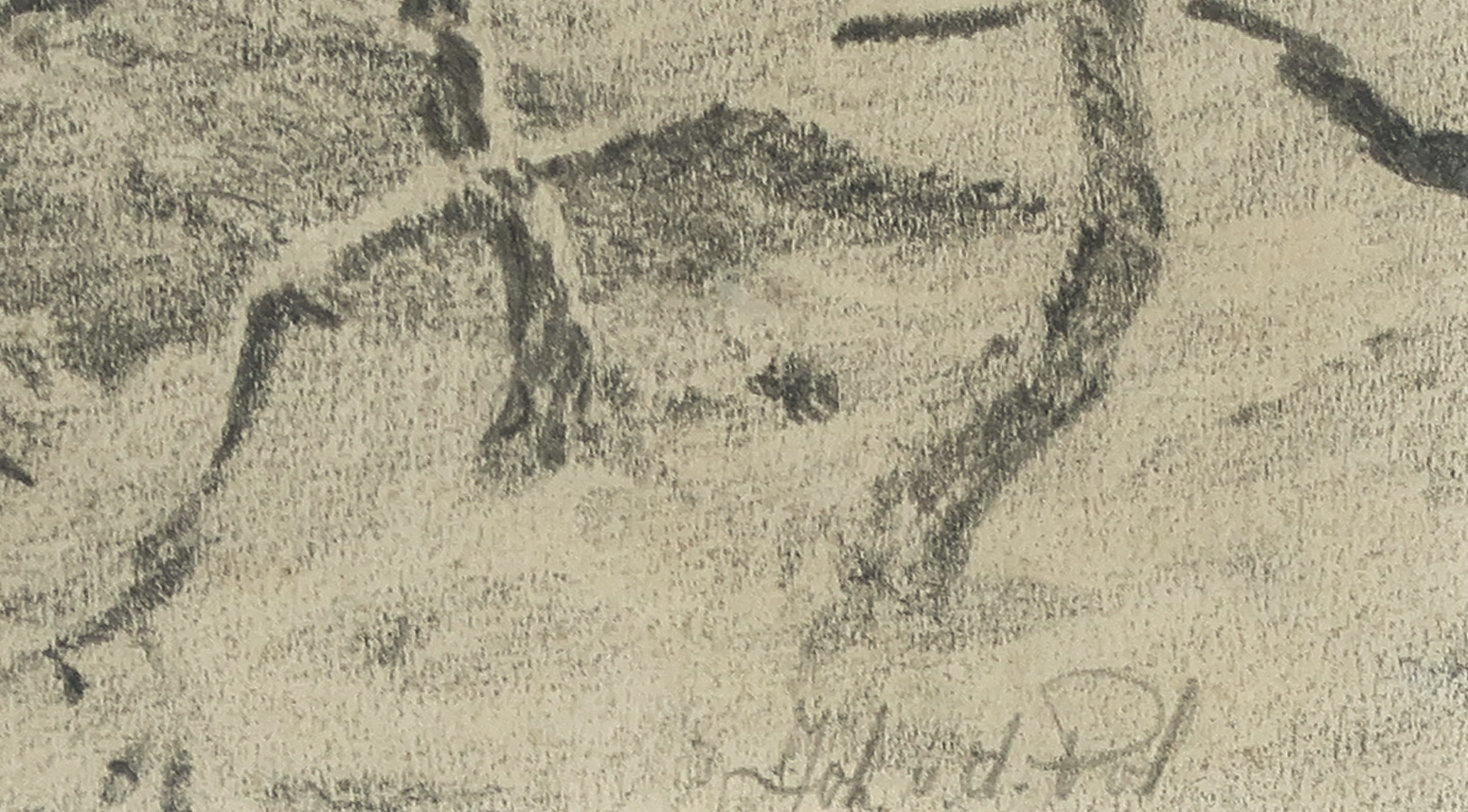 Niet of onleesbaar gesigneerd - Potloodtekening, Twee leeuwen - Ingelijst kopen? Bied vanaf 1!