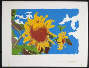 Alice Pool - Zeefdruk, Zonnebloemen kopen? Bied vanaf 1!