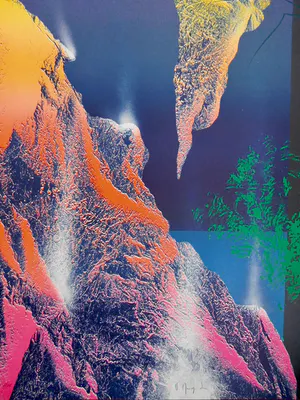 Vincent Mengin-Lecreult - Evolution kopen? Bied vanaf 35!