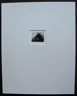 Buy Simon Koene - Ets: Landschap met stormachtig weer - 1987? Bid from 65!