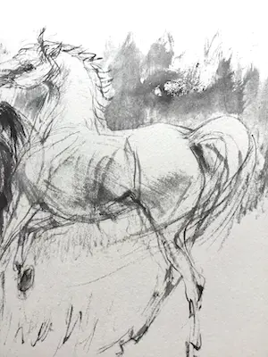 Piet Klaasse - Paarden, proefdrukken offsetlitho, 2-zijdig bedrukt, gesigneerd in druk kopen? Bied vanaf 25!