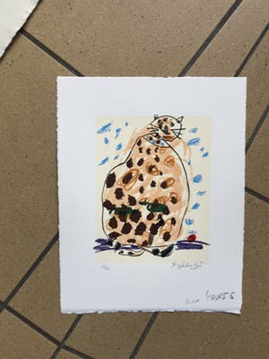 Kees Salentijn - Mijn kater kopen? Bied vanaf 45!