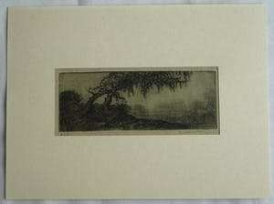 Jan Coenraad Nachenius - Ets , Landschap met boom – ca. 1945 kopen? Bied vanaf 1!