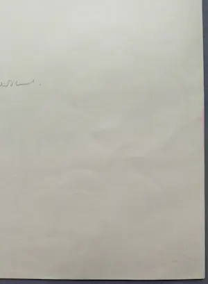 Dirkje Kuik - Dirkje Kuik – Held van het Potspel – gesigneerde litho kopen? Bied vanaf 49!