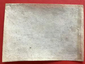 Cornelius Galle - SOMNIUM SCALAE JACOB - JACOB'S LADDER op PERKAMENT ! kopen? Bied vanaf 59!