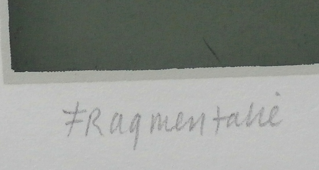 Aleid Mansholt - zeefdruk: fragmentatie kopen? Bied vanaf 20!