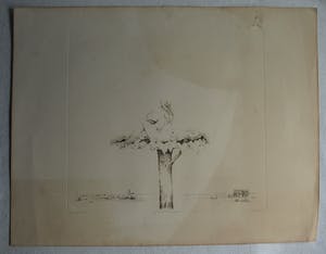 Hans Andringa - Ets , Op het nest van de klepperaar – oplage 37/40 - 1977 kopen? Bied vanaf 1!