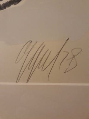 Karel Appel - rustende kikker 1978 kopen? Bied vanaf 795!