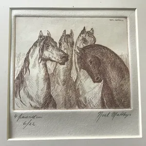 Noël Matthijs - 4 paarden kopen? Bied vanaf 1!