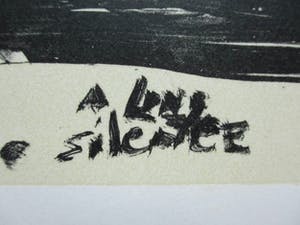 Marlene Dumas - A long silence kopen? Bied vanaf 690!