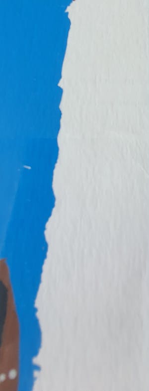 Herman Brood - Volvo - zeefdruk - gesigneerd - 1998 - 175 ex. kopen? Bied vanaf 1!