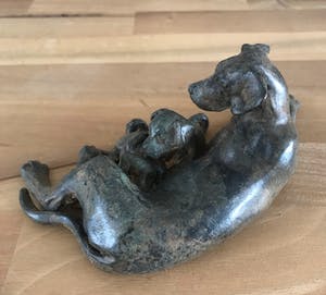 Pierre Chenet - Bronzen beeld van hond met puppy's - Fonderie Pierre Chenet kopen? Bied vanaf 155!