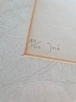 Roger Hebbelinck - José kopen? Bied vanaf 35!