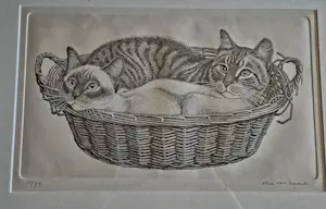 Ella van Schaik - Aardappelmand kopen? Bied vanaf 40!