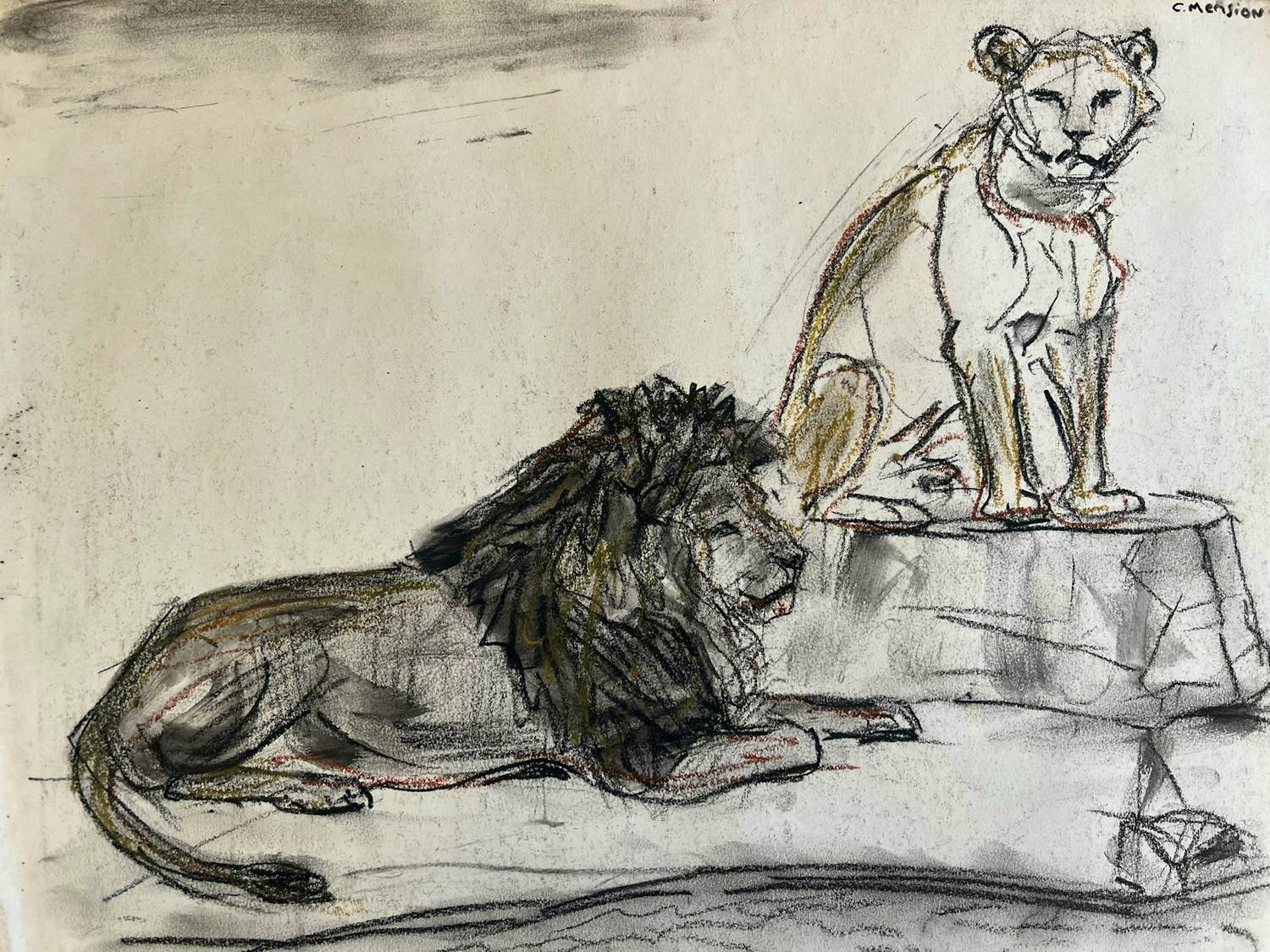 Cornelis Jan Mension - Tekening van een rustende leeuw en leeuwin, gemaakt in Artis kopen? Bied vanaf 85!