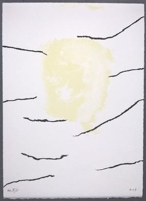 Armando - gemonografeerde litho kopen? Bied vanaf 195!