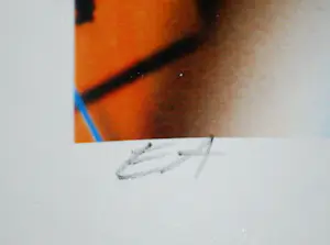 Arturo - 2 grote zeefdrukken kopen? Bied vanaf 60!