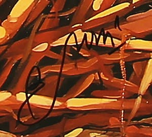 Bruno Bruni - Kleurenoffset-litho COVO Handgesigneerd. Nu vanaf €1,=.......... kopen? Bied vanaf 1!