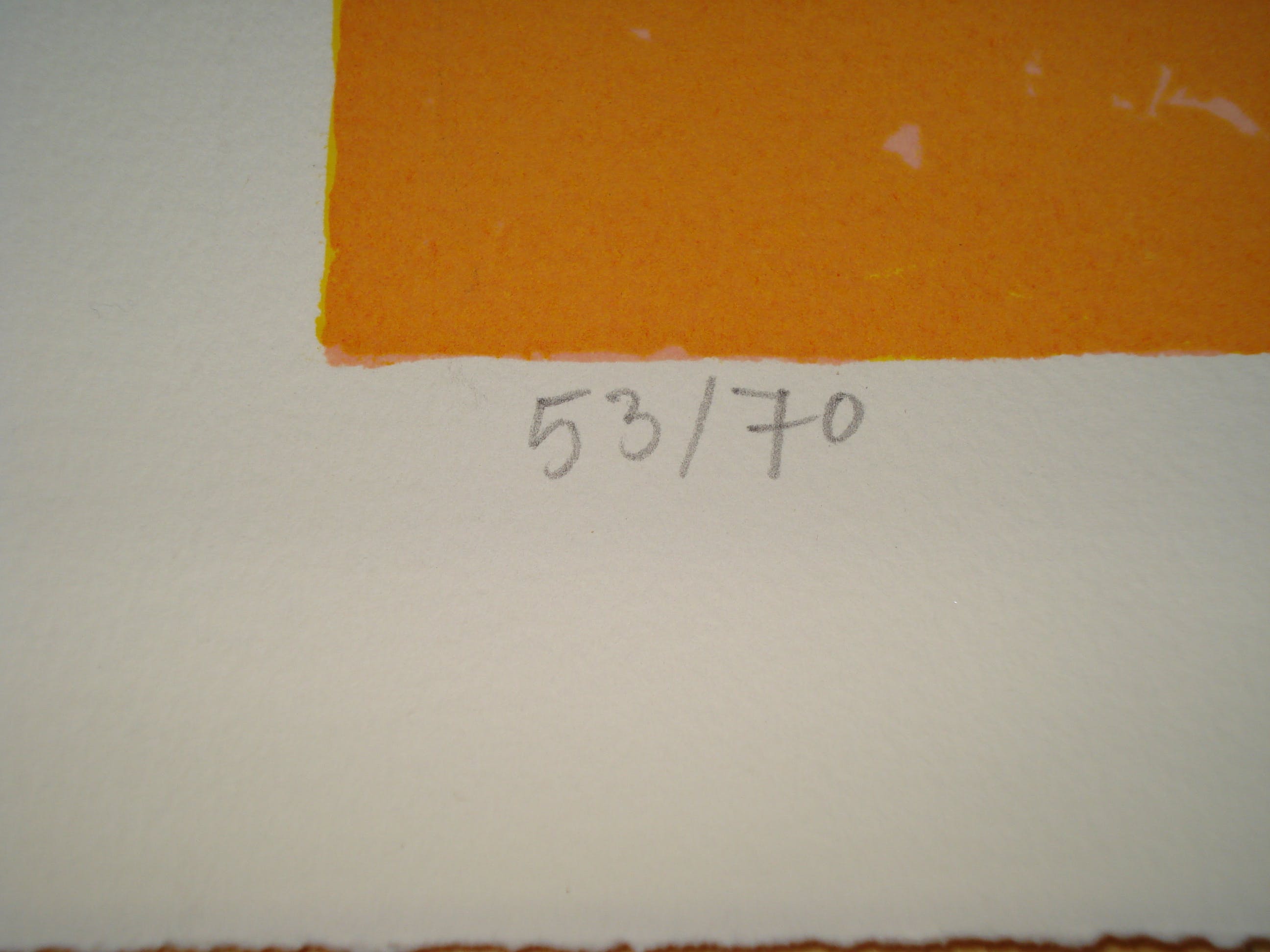 Hendrik Jan Visser - Schaal met fruit. kopen? Bied vanaf 1!