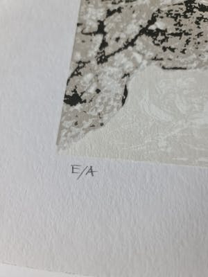 Ronald Boonacker - Night sky 2 en 3 - gesigneerd - E/A kopen? Bied vanaf 1!