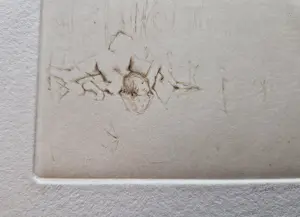 Mira den Hartog - magnifieke droge naald Ets "naakt aan waterkant" - zeer kleine oplage (10) kopen? Bied vanaf 38!