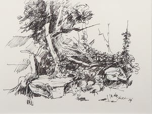 Piet Snoeren - Pentekening op papier, Bomen - Ingelijst kopen? Bied vanaf 35!