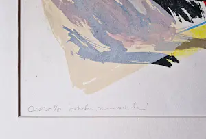 Ron Gennisse - Grote abstract-expressionistische Lithografie - zeer kleine oplage (8) kopen? Bied vanaf 37!