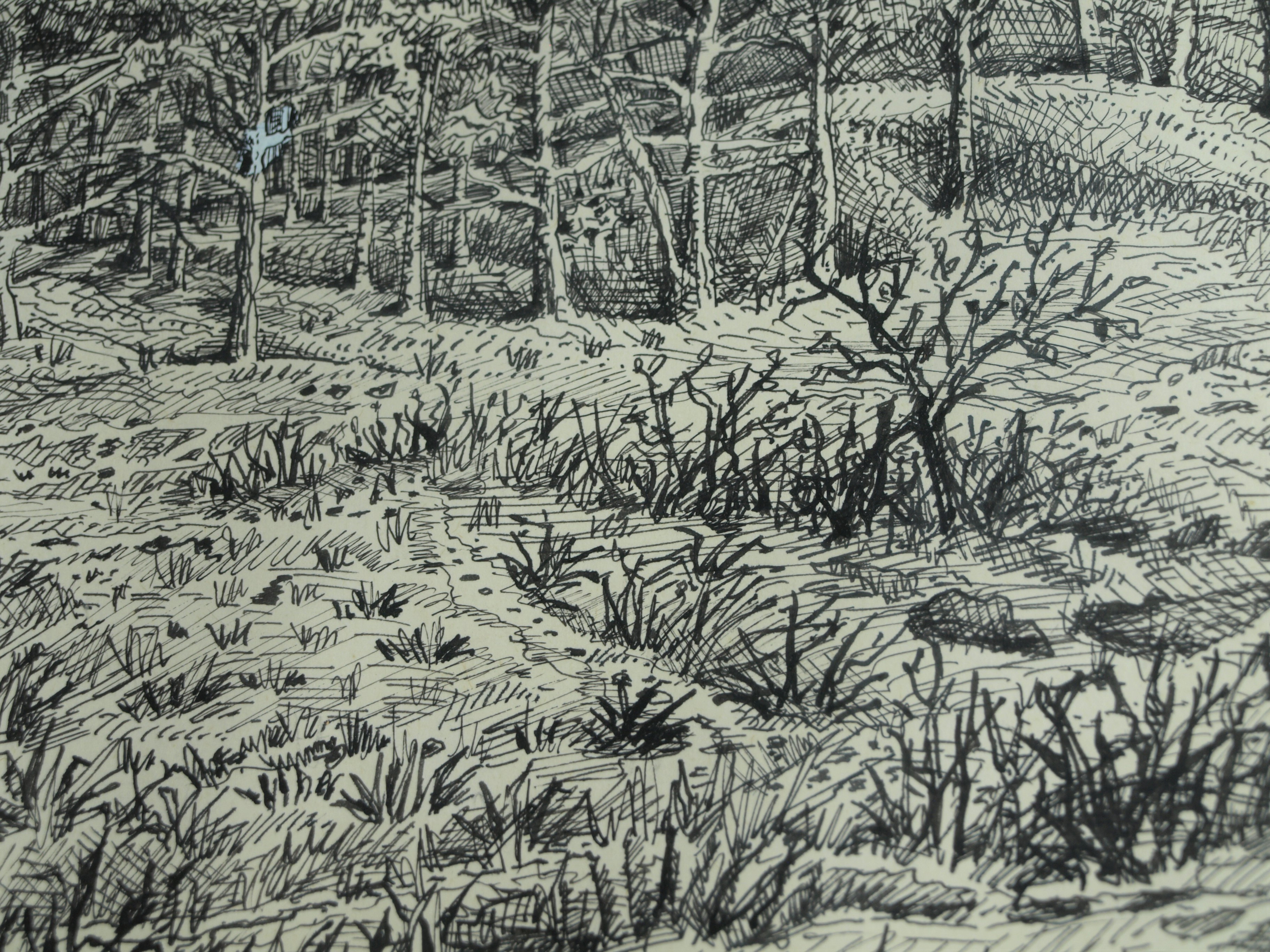 Hans Boon - Pentekening , Duinlandschap – gesigneerd & ingelijst – ca 1977  kopen? Bied vanaf 1!