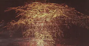 Adrian de Gijzel - en andere! - Lot van drie originele werken op papier kopen? Bied vanaf 1!