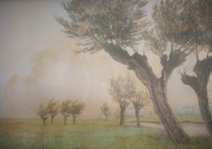 Jan Kagie (jr.) - Wilgen aan waterkant. kopen? Bied vanaf 1!