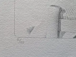 Teun Nijkamp - Grote kleuren zeefdruk "tekenen in de tuin" - beperkte oplage (120) kopen? Bied vanaf 43!