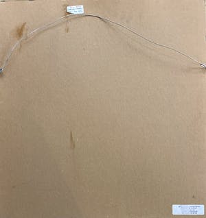 Peter Wray - “Carolan’s Journey” kopen? Bied vanaf 80!