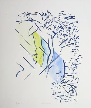 Jaap Hillenius - Litho en aquarel, Licht en schaduw kopen? Bied vanaf 20!