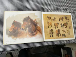 Rien Poortvliet - Langs het tuinpad van mijn vader kopen? Bied vanaf 20!