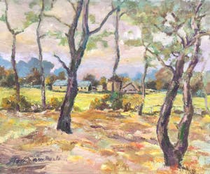 Jan Harmannus Lambeck - C4784-17, St. Martin, 980 mtr. Route Napoleon kopen? Bied vanaf 225!