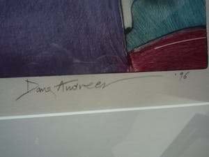 Dana Andreev - Through the window kopen? Bied vanaf 119!