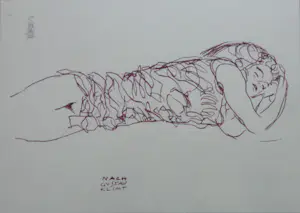 Geert Jan Jansen - NAAKTE VROUW / NACH GUSTAV KLIMT / KLEURLITHO / 31x41cm / KADER / SIG kaufen? Bieten Sie von 25!